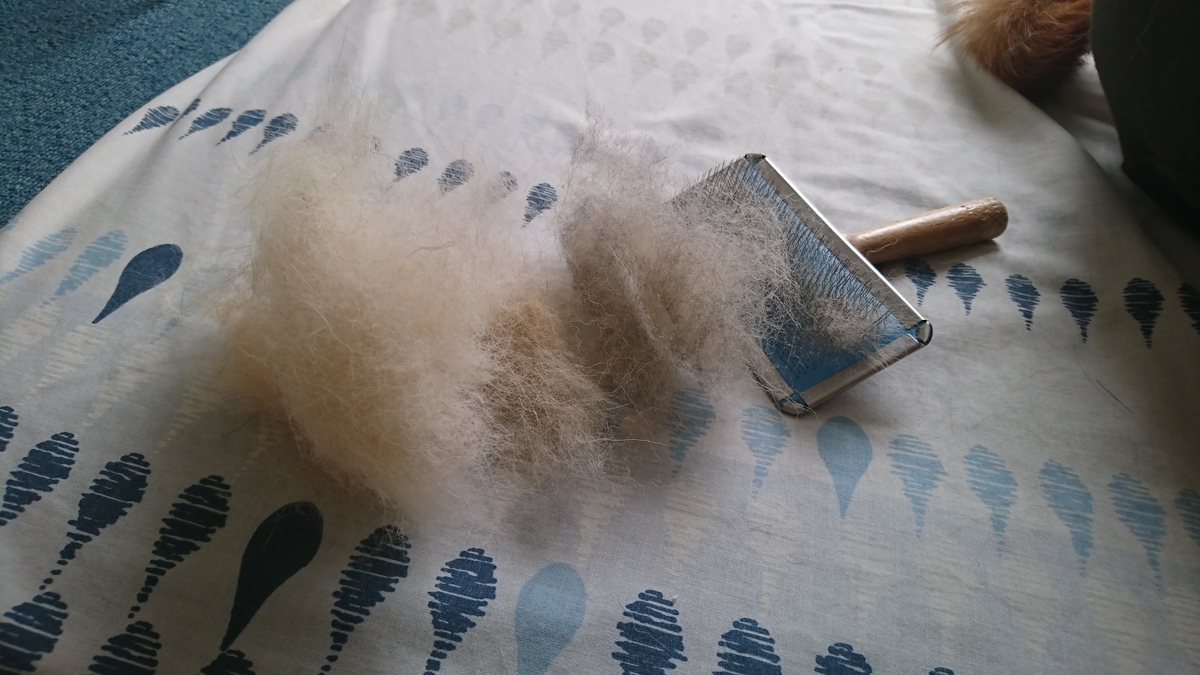 f:id:St-Fuji:20210511124622j:plain