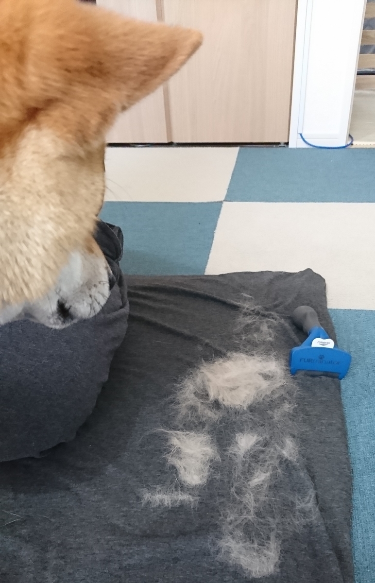 f:id:St-Fuji:20210511125847j:plain