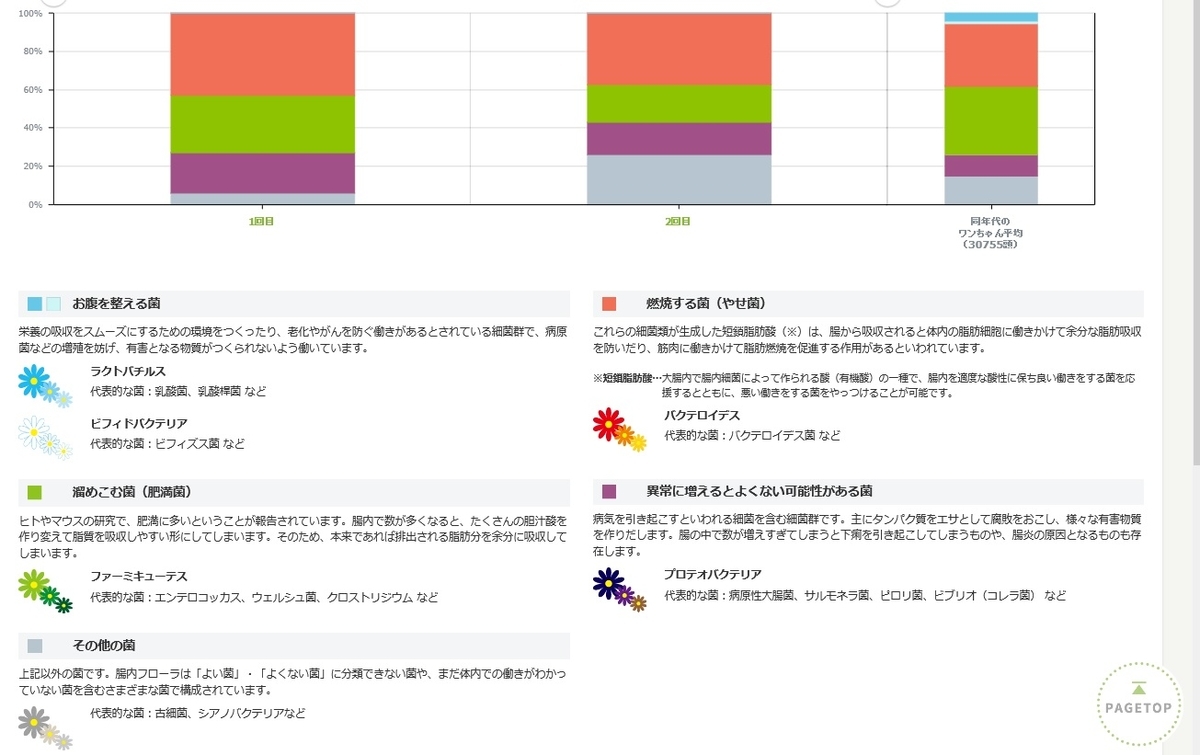 f:id:St-Fuji:20210617185427j:plain