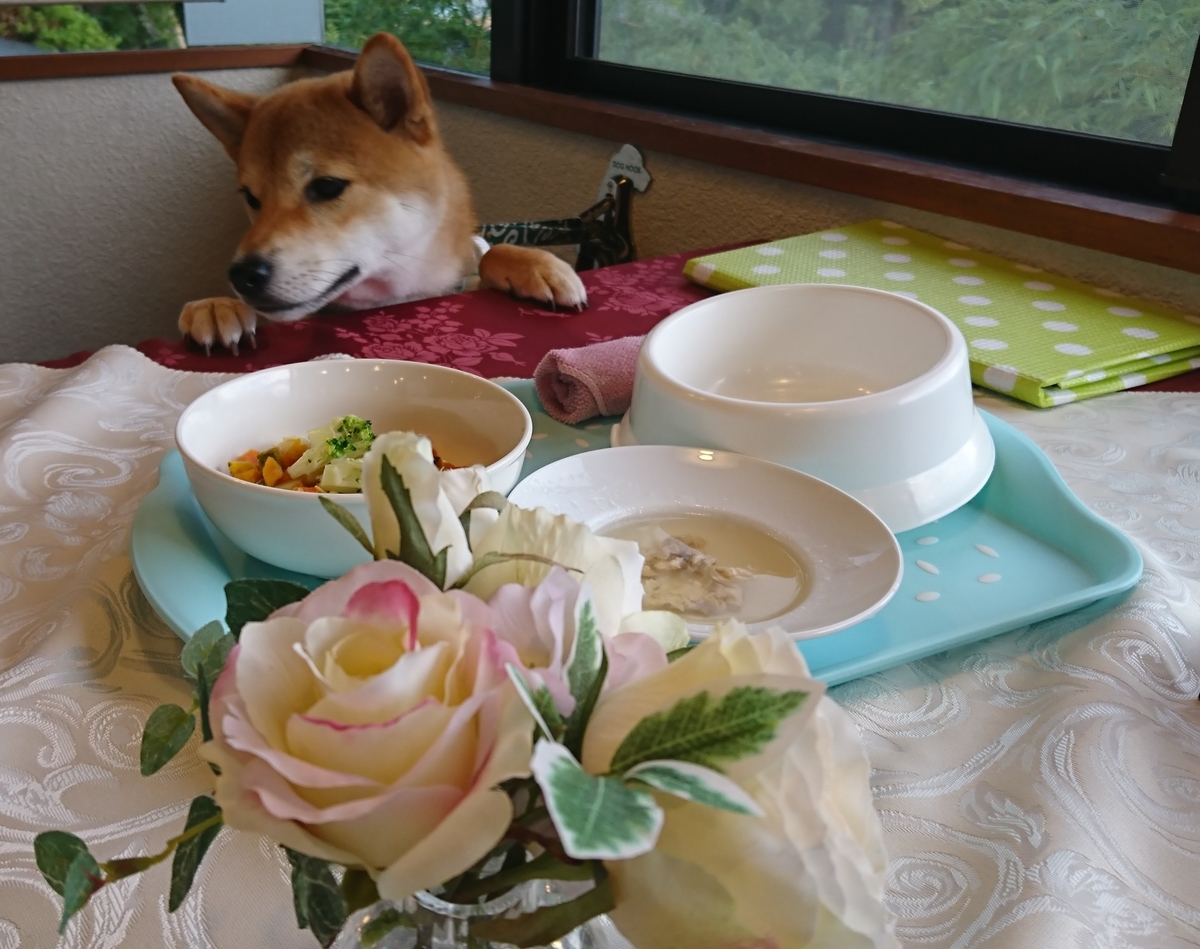 f:id:St-Fuji:20210623135550j:plain
