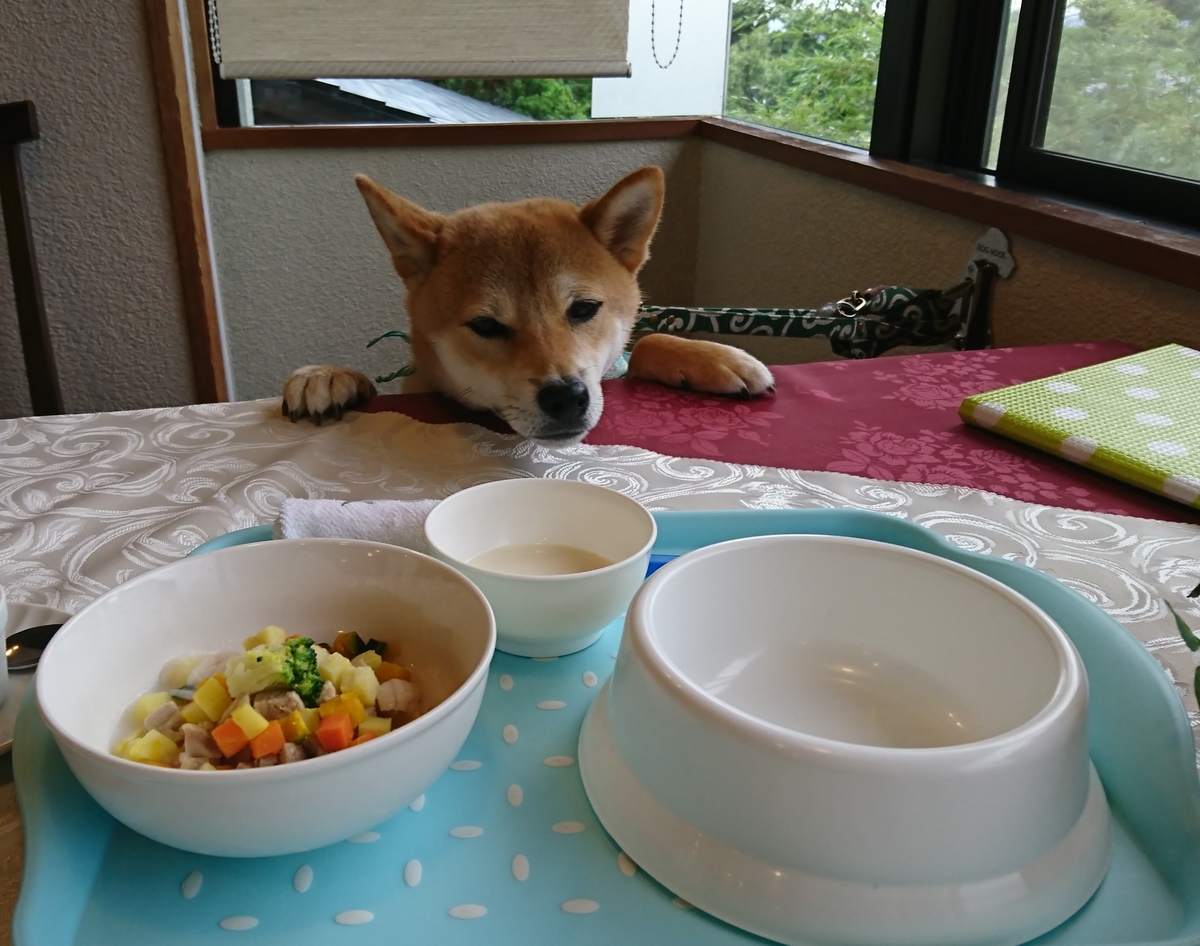 f:id:St-Fuji:20210623144019j:plain