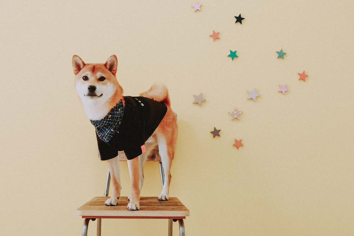 f:id:St-Fuji:20210902161717j:plain