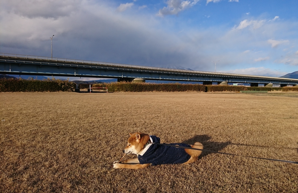 f:id:St-Fuji:20220102181020j:plain