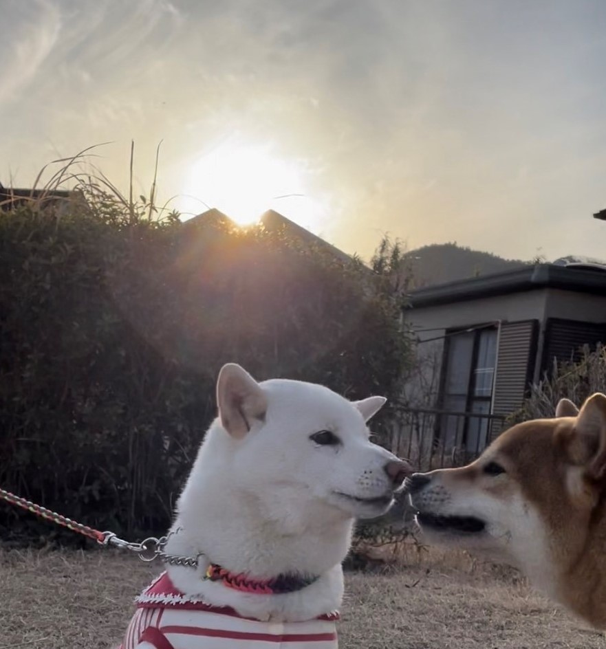 f:id:St-Fuji:20220308181135j:plain