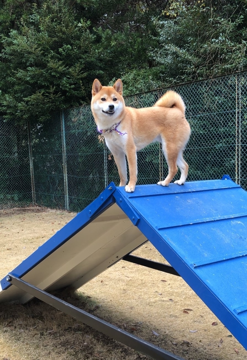 f:id:St-Fuji:20220327125107j:plain