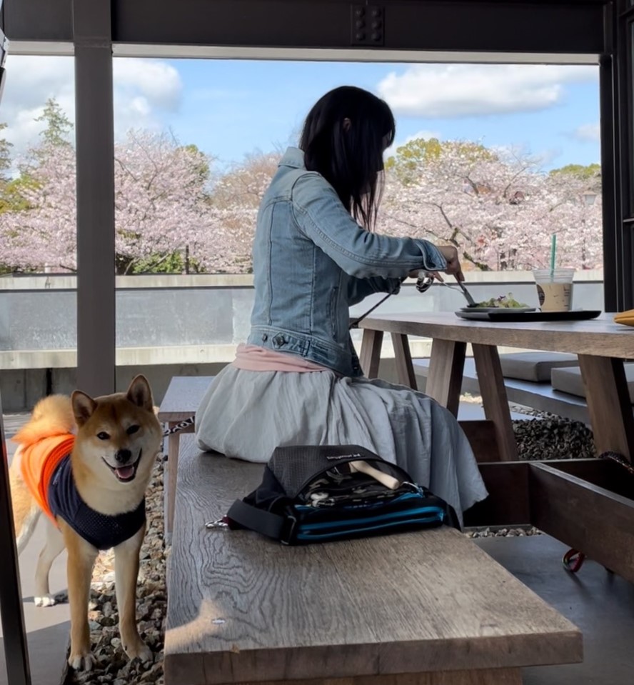 f:id:St-Fuji:20220330185739j:plain
