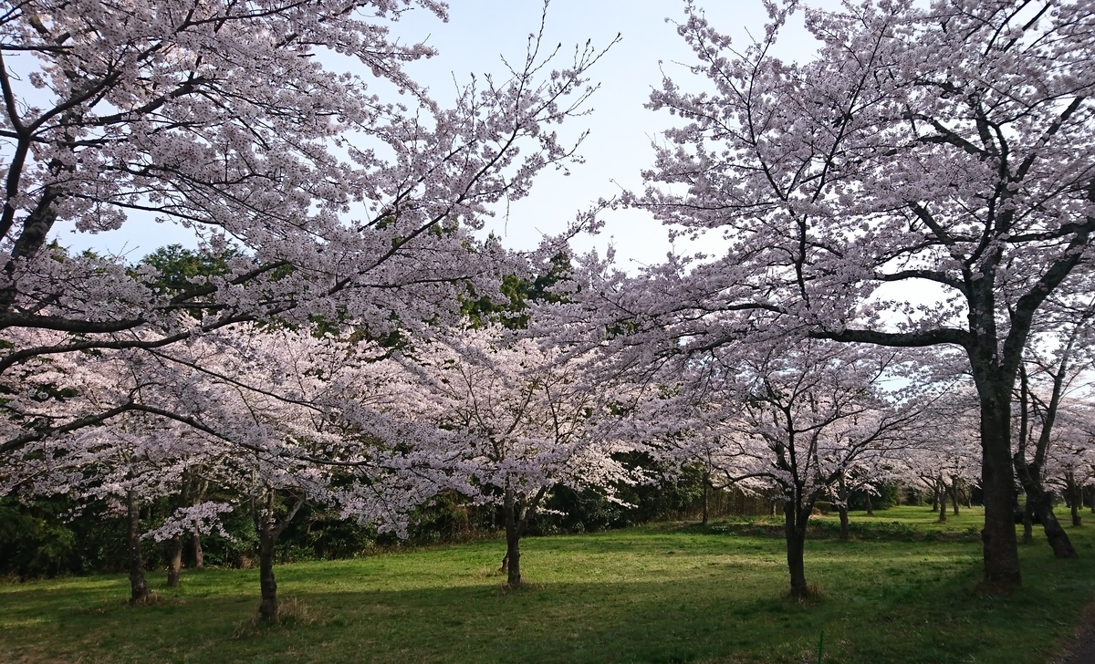 f:id:St-Fuji:20220403144206j:plain