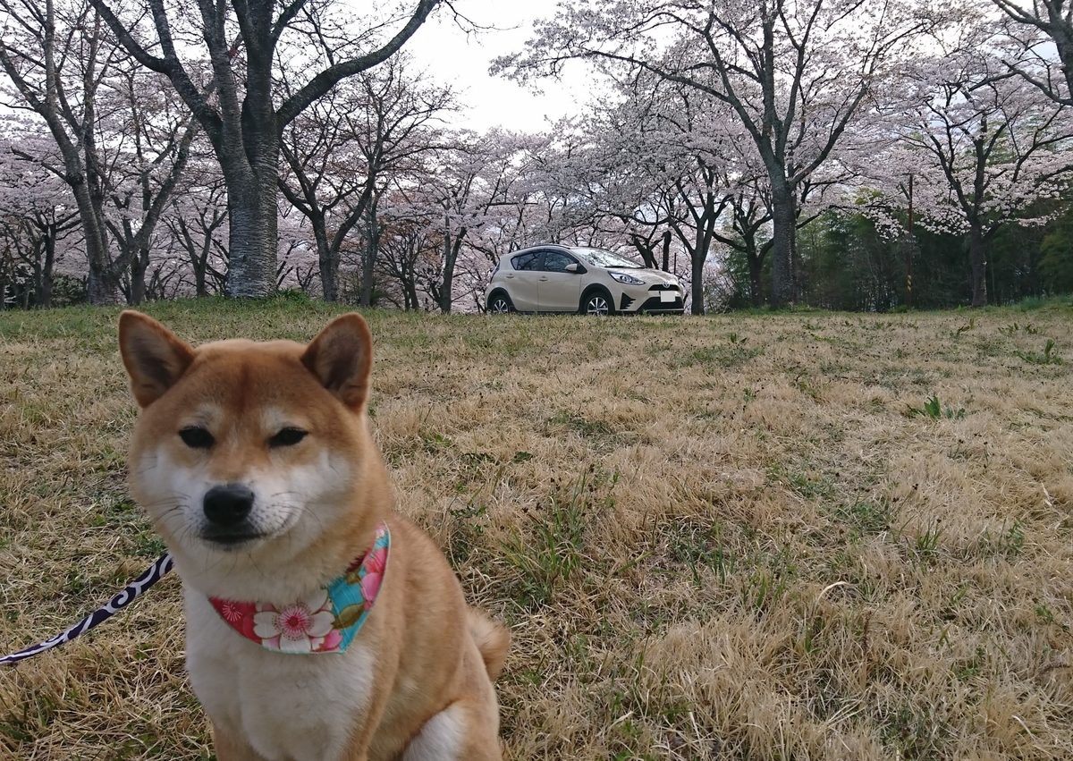 f:id:St-Fuji:20220403145654j:plain