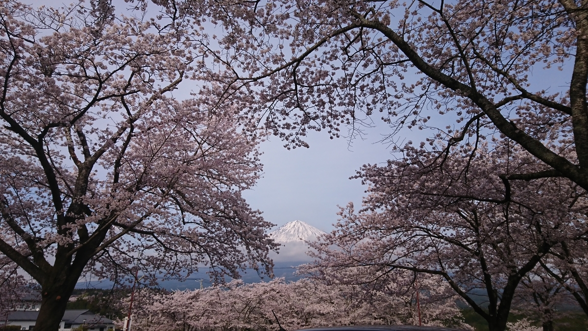f:id:St-Fuji:20220403150628j:plain