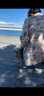 f:id:Star-Koin:20190910181548p:plain f:id:Star-Koin:20190910181548p:plain