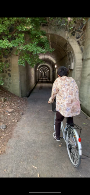 f:id:Star-Koin:20190910182435p:plain f:id:Star-Koin:20190910182435p:plain