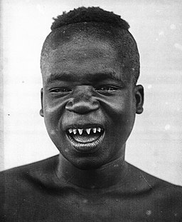f:id:Star-Koin:20190911214247j:plain f:id:Star-Koin:20190911214247j:plain