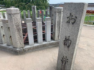 f:id:Star-Koin:20190913215740j:plain f:id:Star-Koin:20190913215740j:plain
