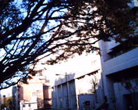 f:id:Star-Mo:20080222015304j:image