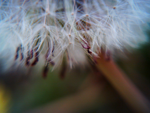 f:id:Star-Mo:20080323221529j:image