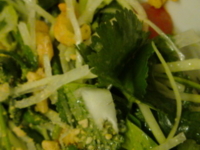 f:id:Star-Mo:20090116195606j:image