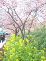 f:id:Star-Mo:20090226114703j:image