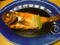 f:id:Star-Mo:20090226192429j:image