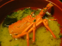 f:id:Star-Mo:20090227084112j:image