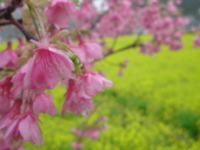 f:id:Star-Mo:20090227122339j:image