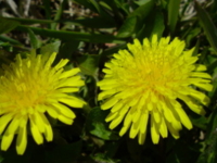 f:id:Star-Mo:20090418183250j:image