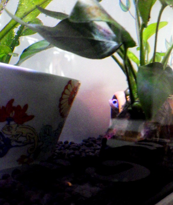 f:id:StarLine:20180924181719j:plain