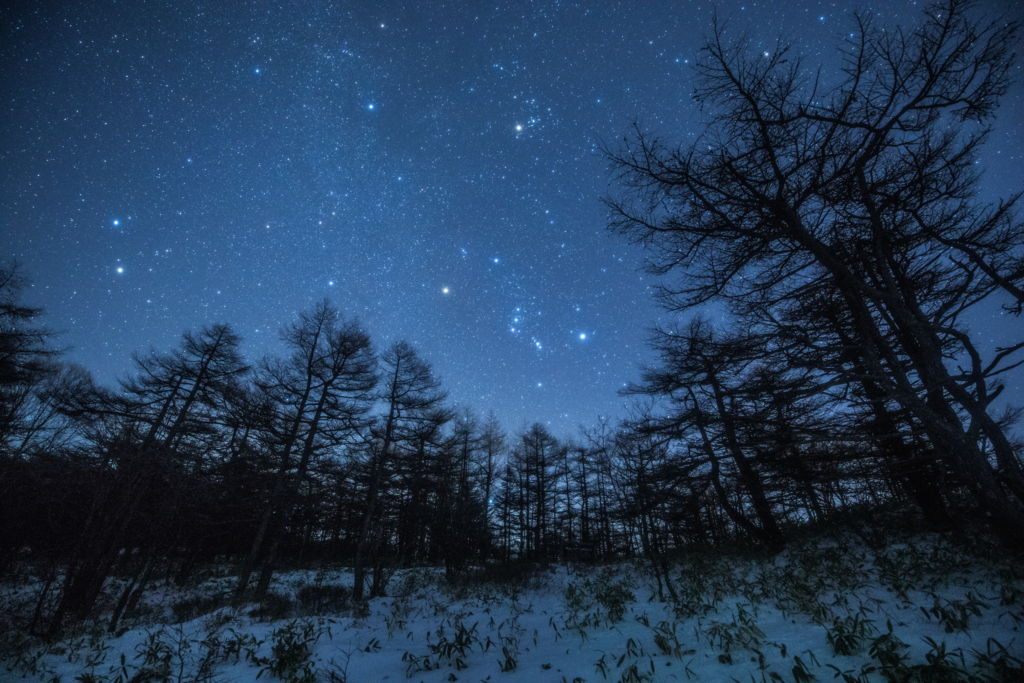 f:id:Starryheavens:20171224205513j:plain f:id:Starryheavens:20171224205513j:plain