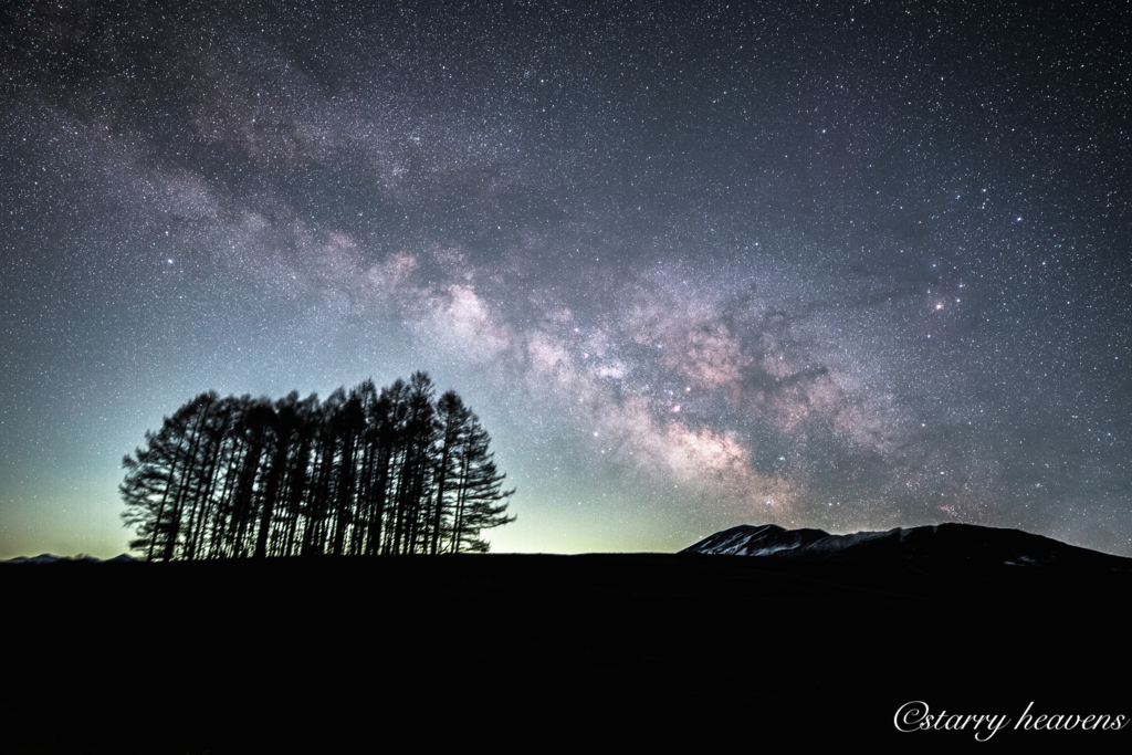 f:id:Starryheavens:20180317214907j:plain f:id:Starryheavens:20180317214907j:plain