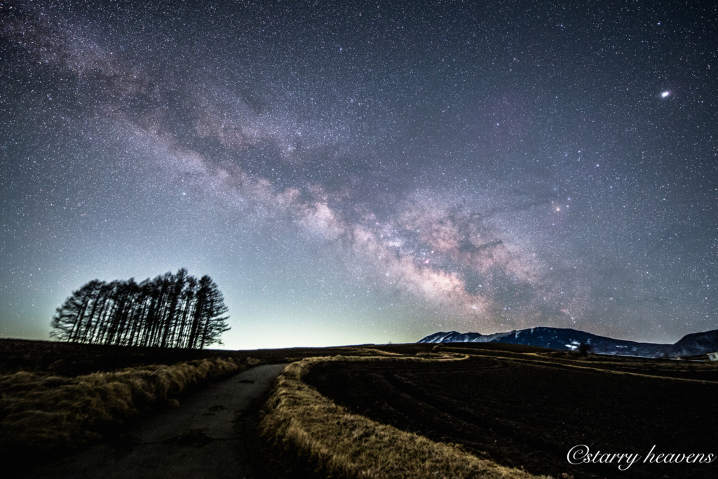 f:id:Starryheavens:20180317215101j:plain f:id:Starryheavens:20180317215101j:plain