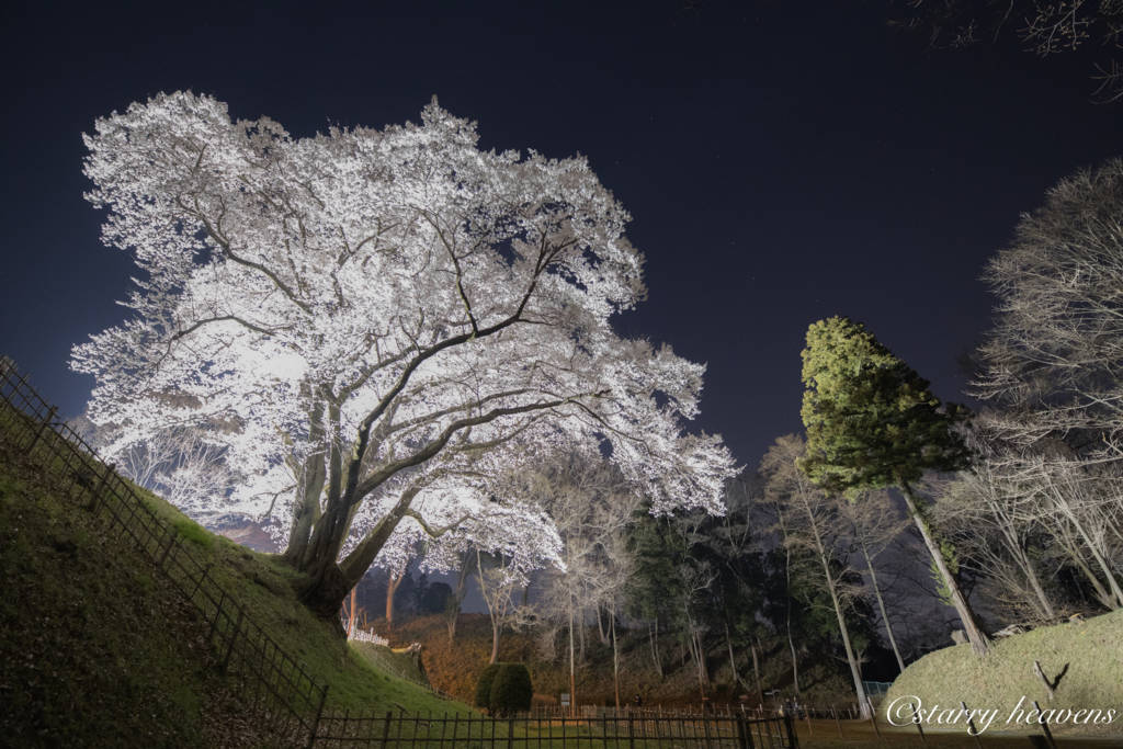f:id:Starryheavens:20180329062054j:plain f:id:Starryheavens:20180329062054j:plain