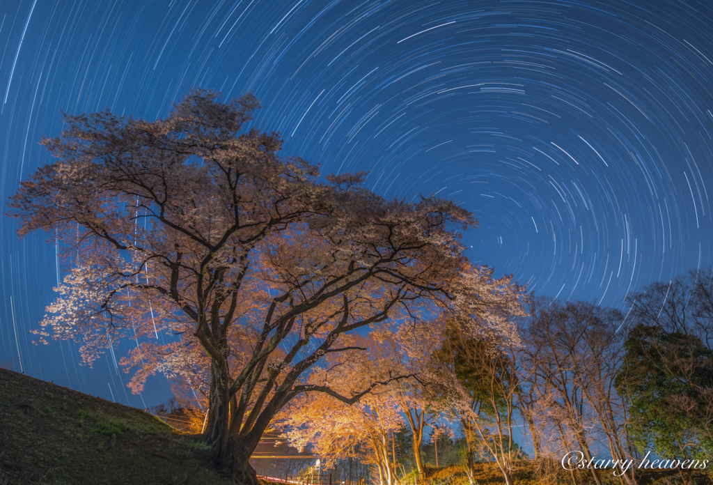 f:id:Starryheavens:20180329062213j:plain f:id:Starryheavens:20180329062213j:plain