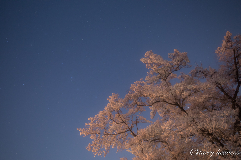 f:id:Starryheavens:20180329212939j:plain f:id:Starryheavens:20180329212939j:plain