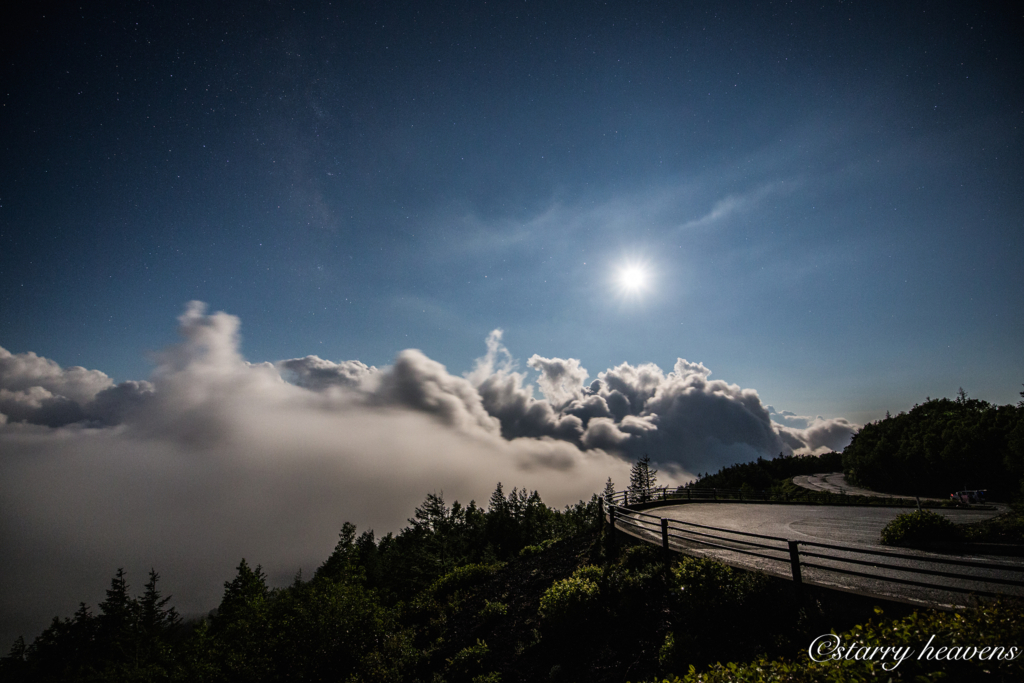 f:id:Starryheavens:20180527225643j:plain f:id:Starryheavens:20180527225643j:plain