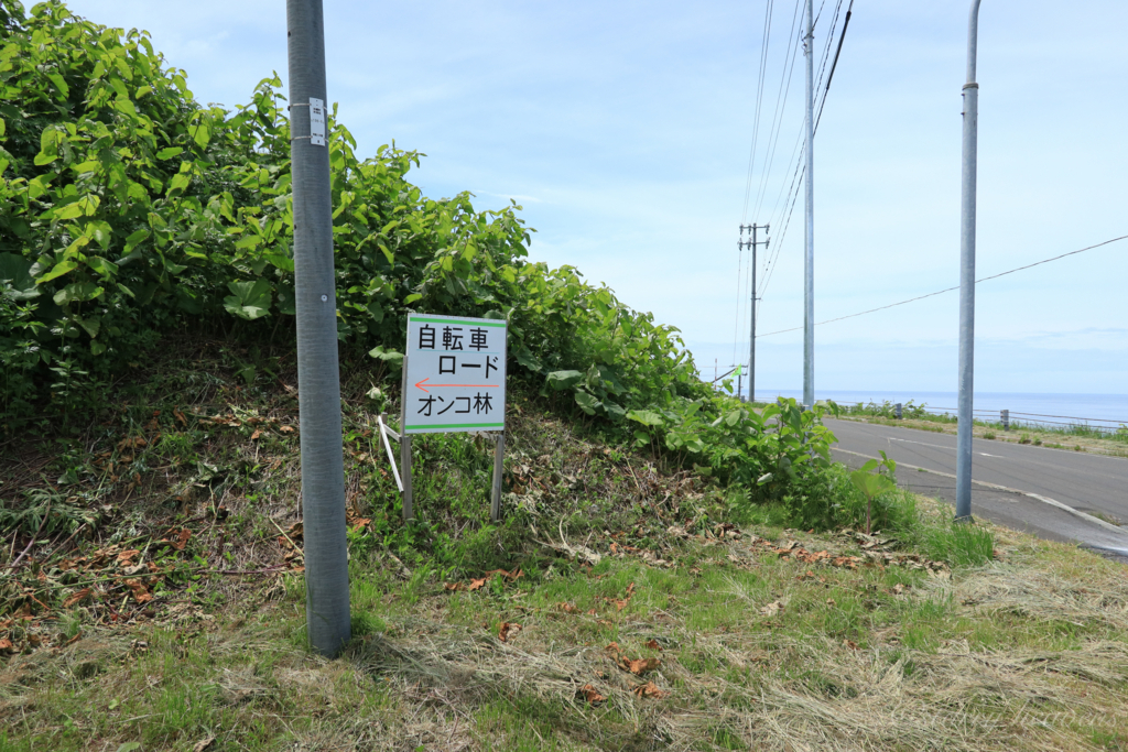 f:id:Starryheavens:20180623103123j:plain f:id:Starryheavens:20180623103123j:plain