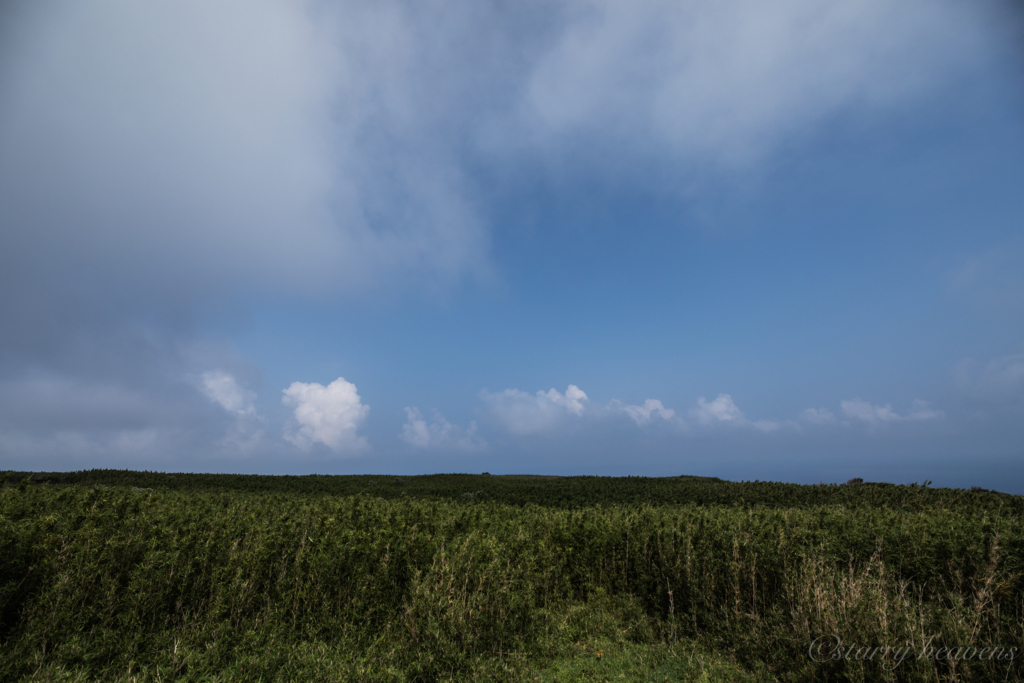 f:id:Starryheavens:20180810184906j:plain