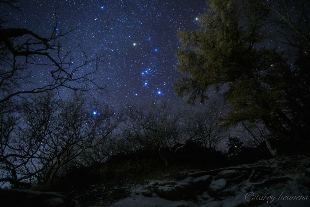 f:id:Starryheavens:20181023224245j:plain f:id:Starryheavens:20181023224245j:plain