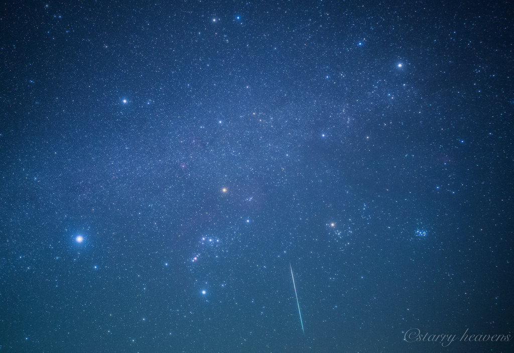 f:id:Starryheavens:20181124130058j:plain f:id:Starryheavens:20181124130058j:plain
