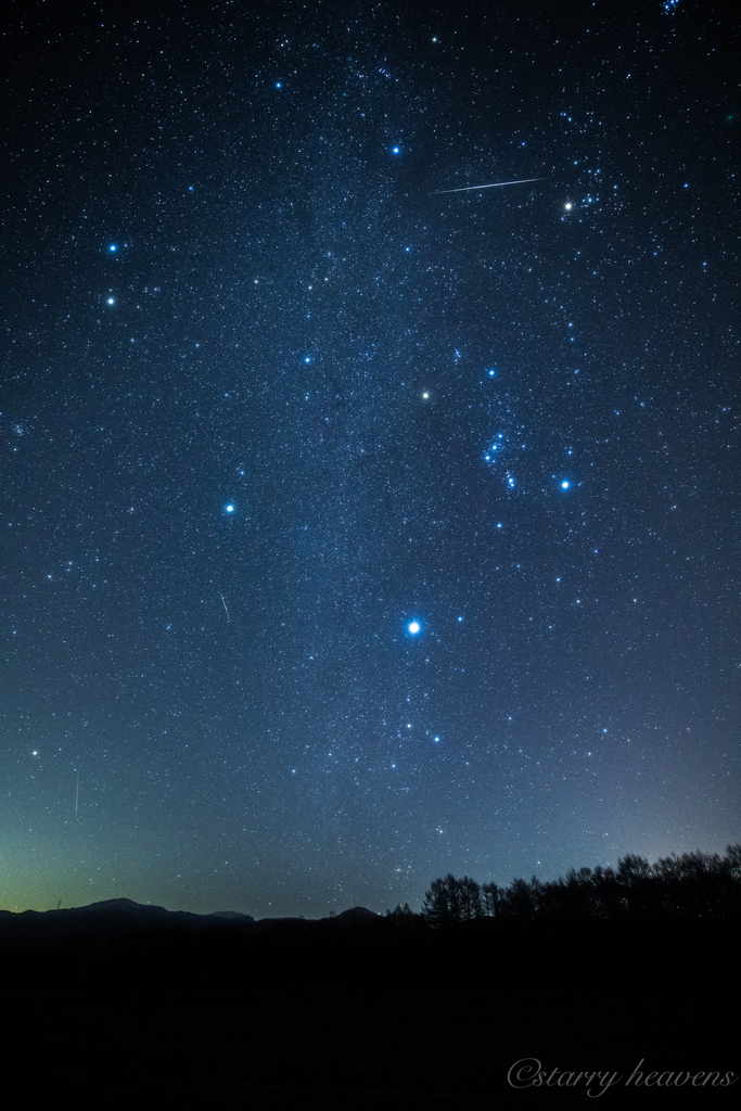 f:id:Starryheavens:20181218221332j:plain f:id:Starryheavens:20181218221332j:plain