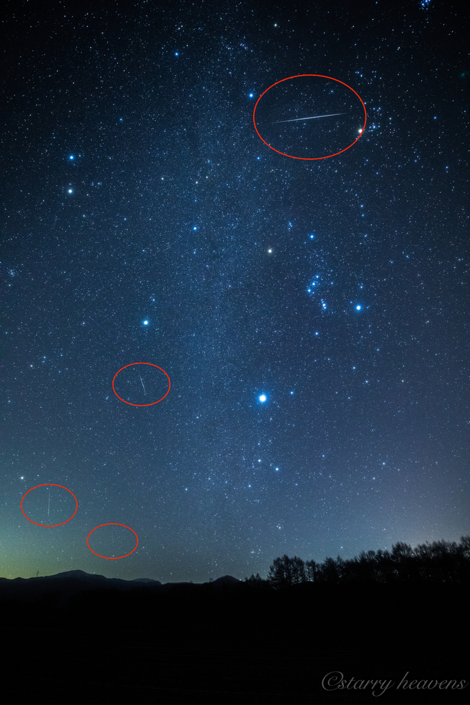 f:id:Starryheavens:20181218221413j:plain f:id:Starryheavens:20181218221413j:plain
