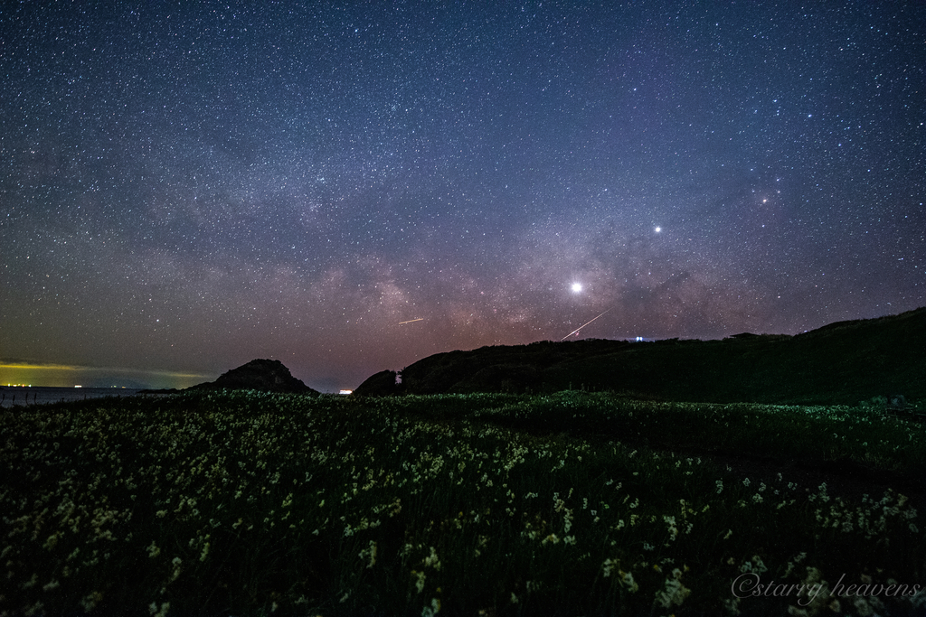 天体撮影記 第夜 静岡県 伊豆半島 爪木崎公園と水仙と2月の夏の天の川を カメラと星景写真の日々