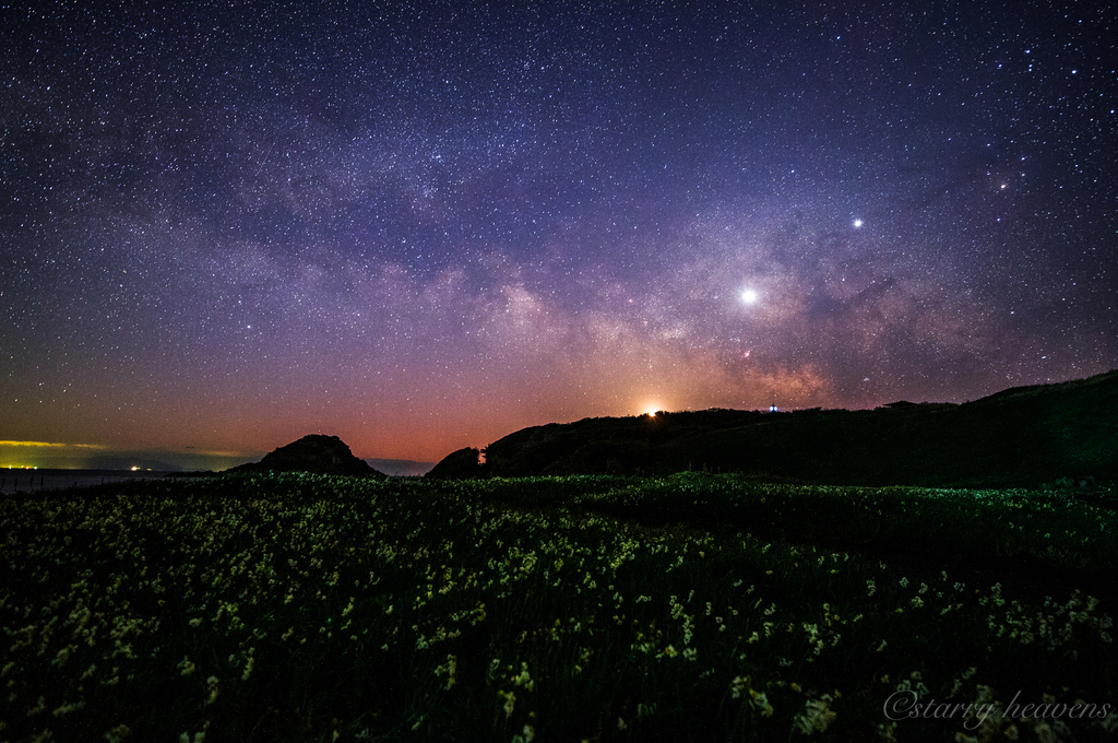 f:id:Starryheavens:20190221223740j:plain f:id:Starryheavens:20190221223740j:plain
