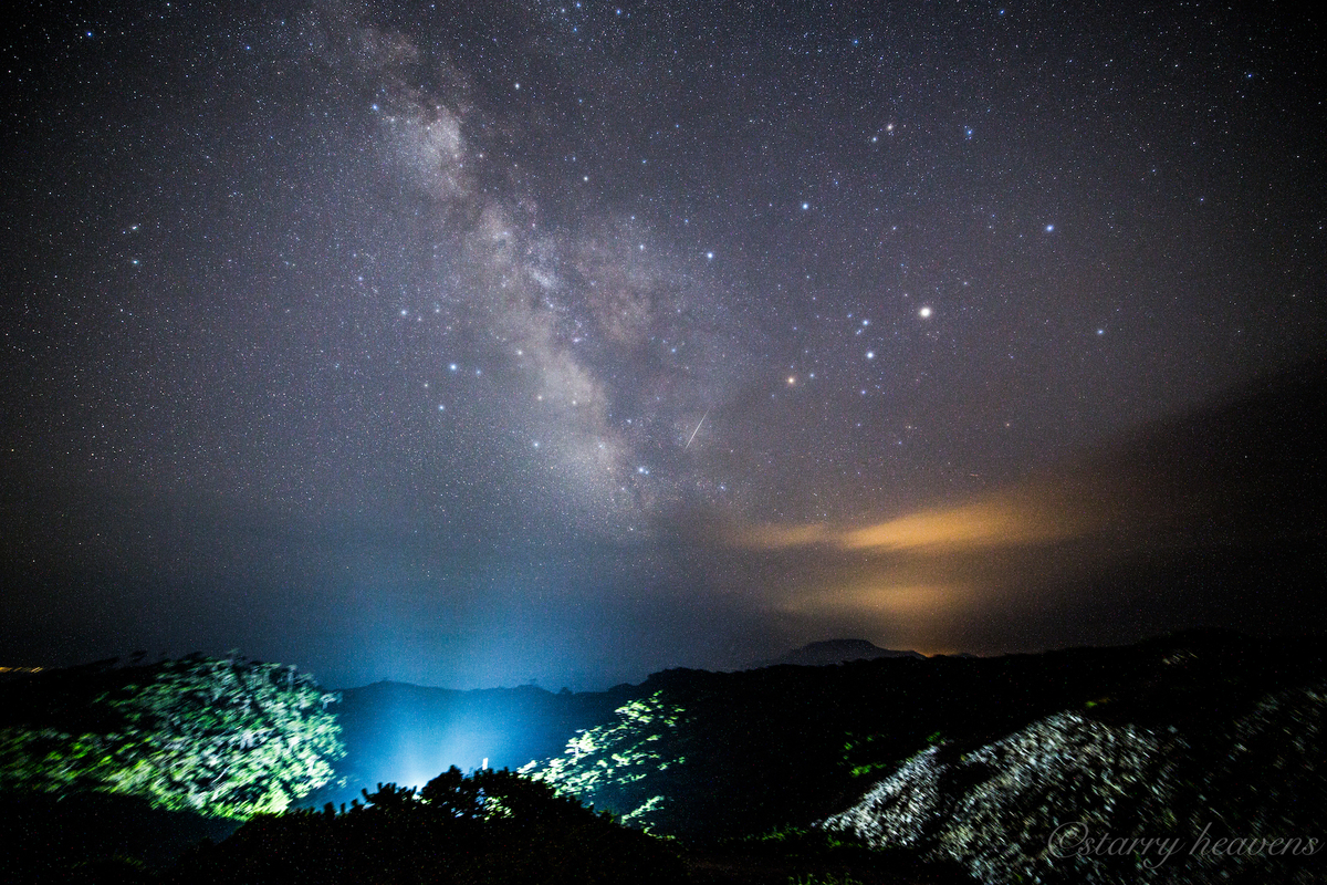 f:id:Starryheavens:20190321114307j:plain f:id:Starryheavens:20190321114307j:plain