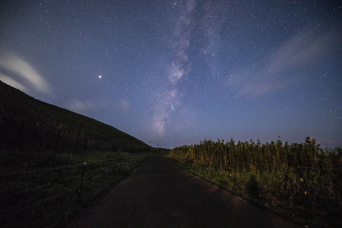 f:id:Starryheavens:20190321125812j:plain f:id:Starryheavens:20190321125812j:plain