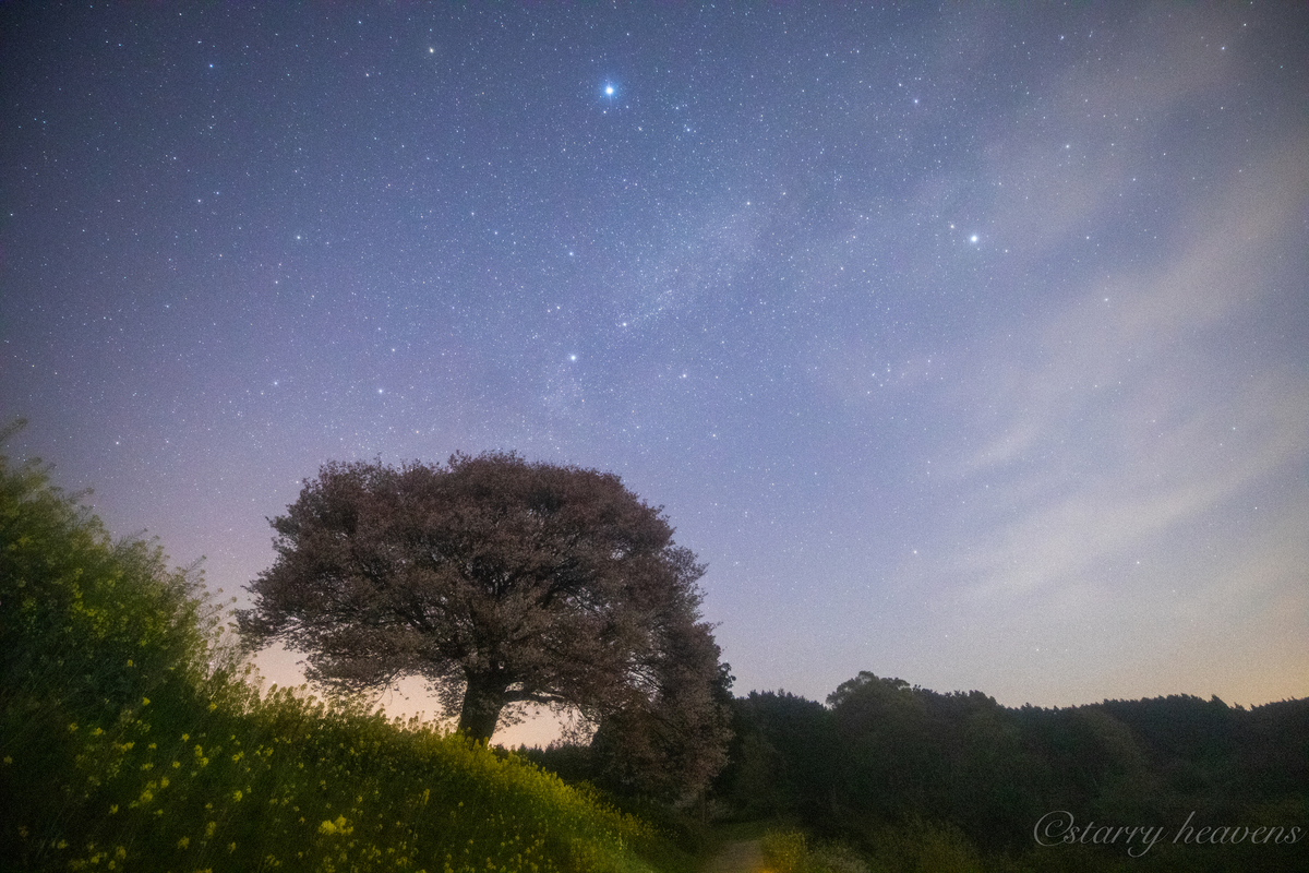 f:id:Starryheavens:20190409220845j:plain f:id:Starryheavens:20190409220845j:plain