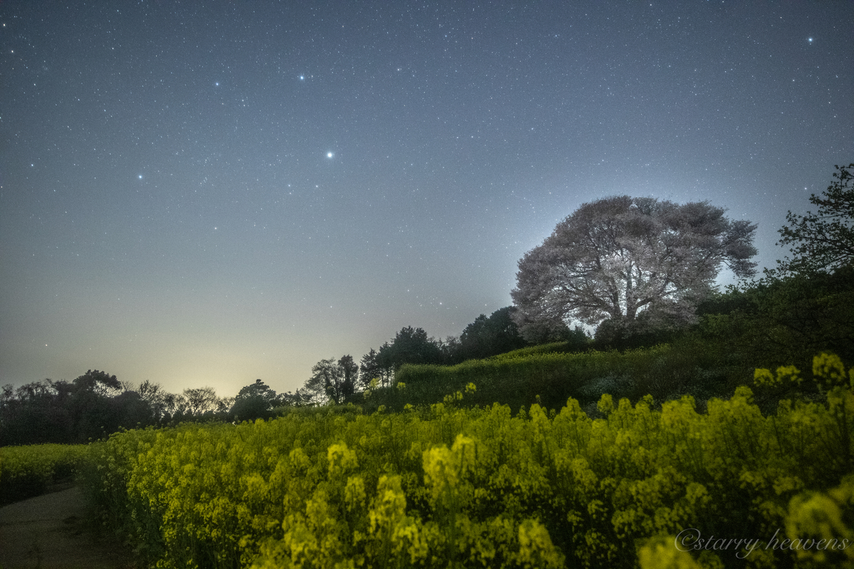 f:id:Starryheavens:20190409221029j:plain f:id:Starryheavens:20190409221029j:plain