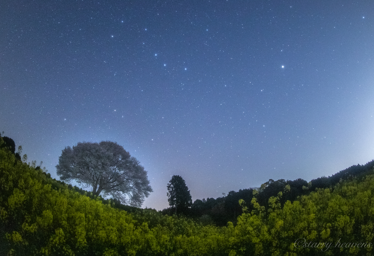 f:id:Starryheavens:20190409221048j:plain f:id:Starryheavens:20190409221048j:plain