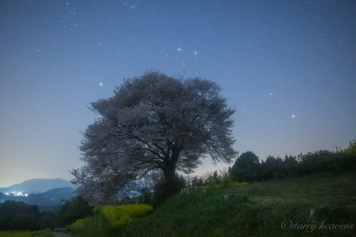 f:id:Starryheavens:20190409221101j:plain f:id:Starryheavens:20190409221101j:plain