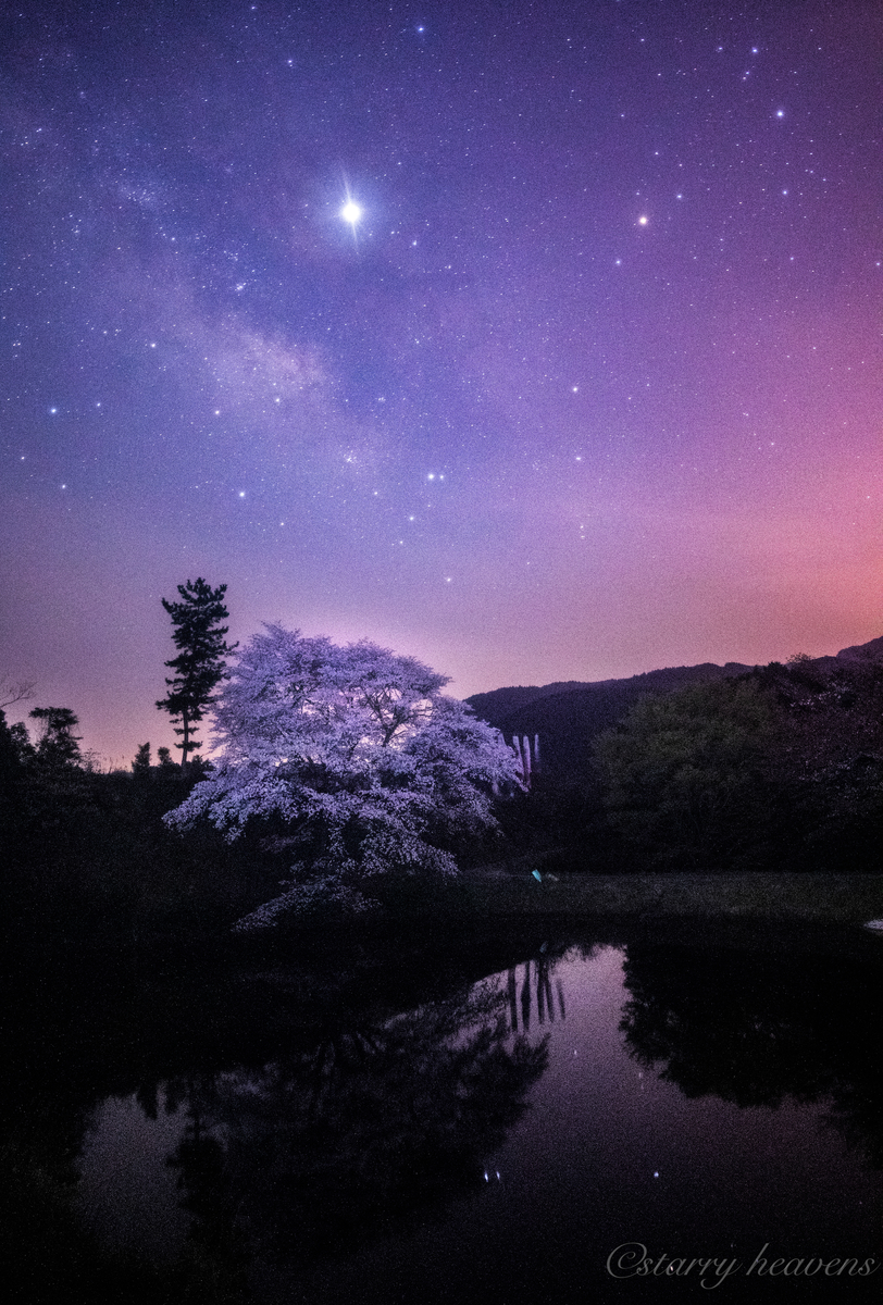 f:id:Starryheavens:20190411181348j:plain f:id:Starryheavens:20190411181348j:plain