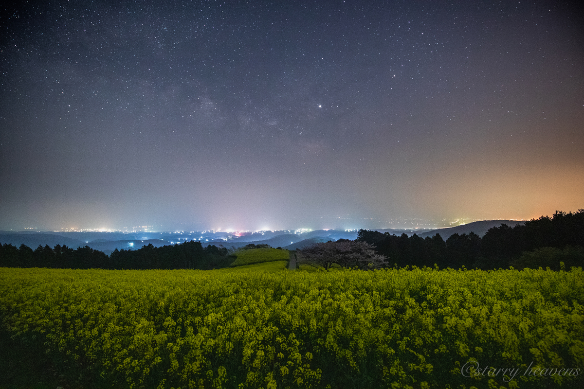 f:id:Starryheavens:20190414104342j:plain