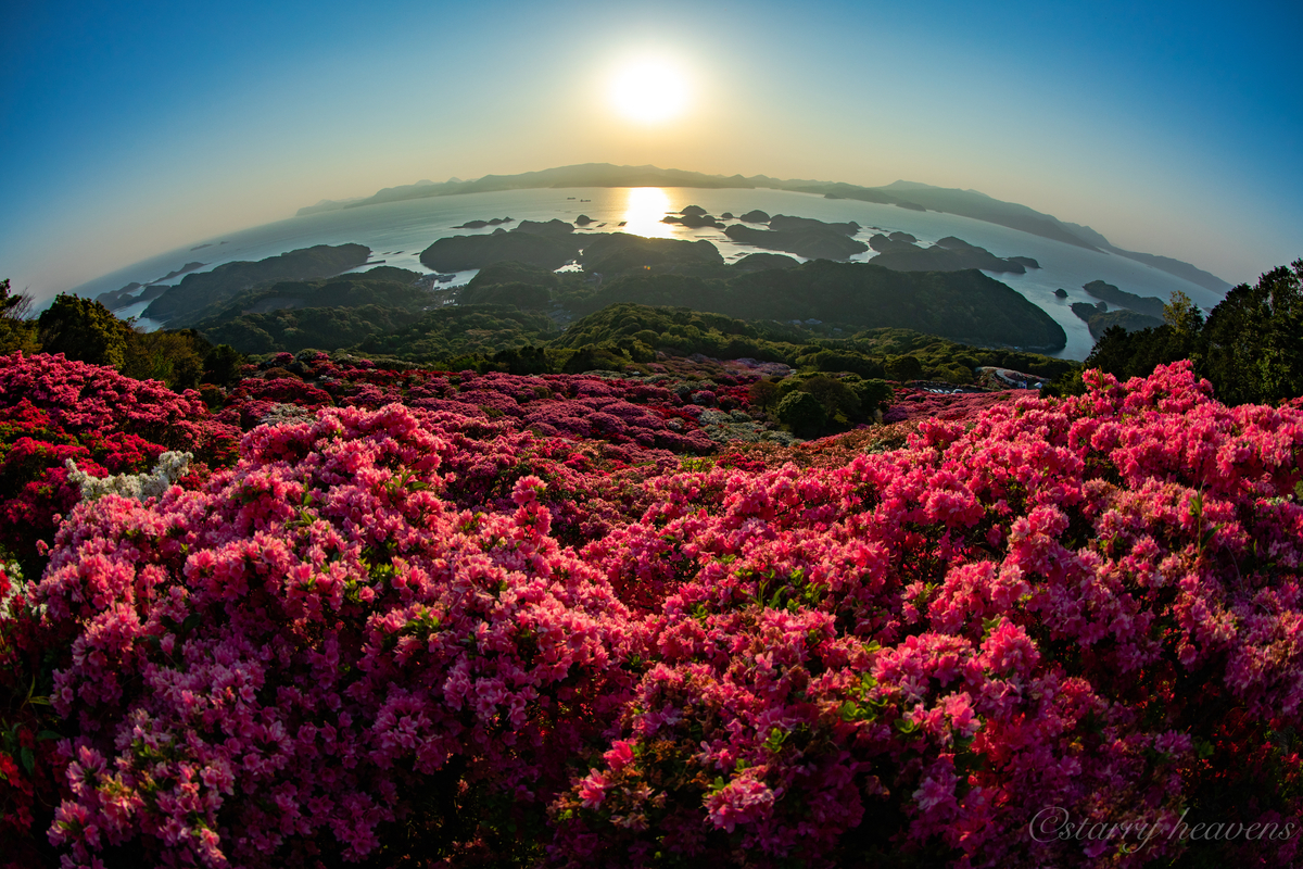 f:id:Starryheavens:20190421100124j:plain f:id:Starryheavens:20190421100124j:plain